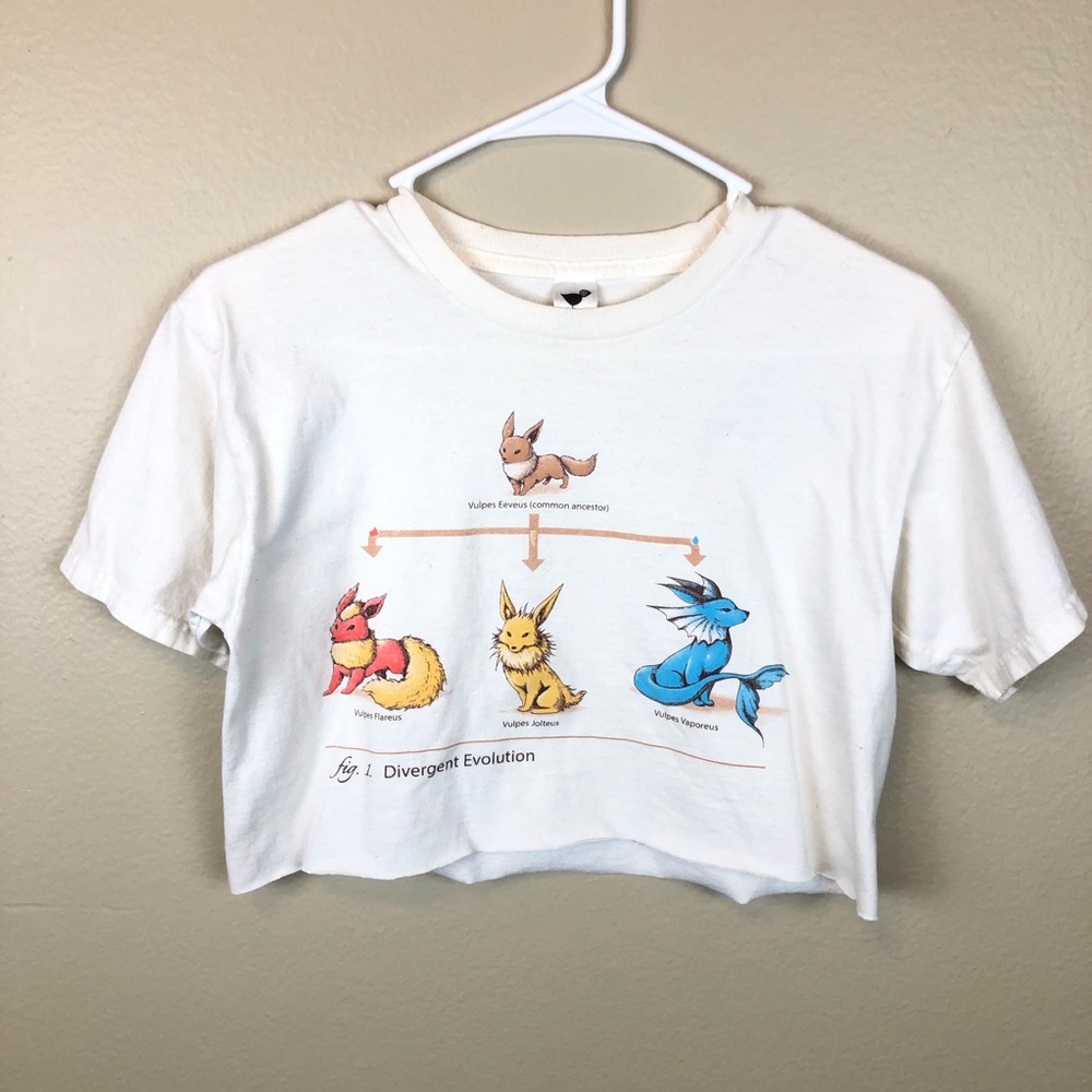Tee fury cropped Eevie evolution tee